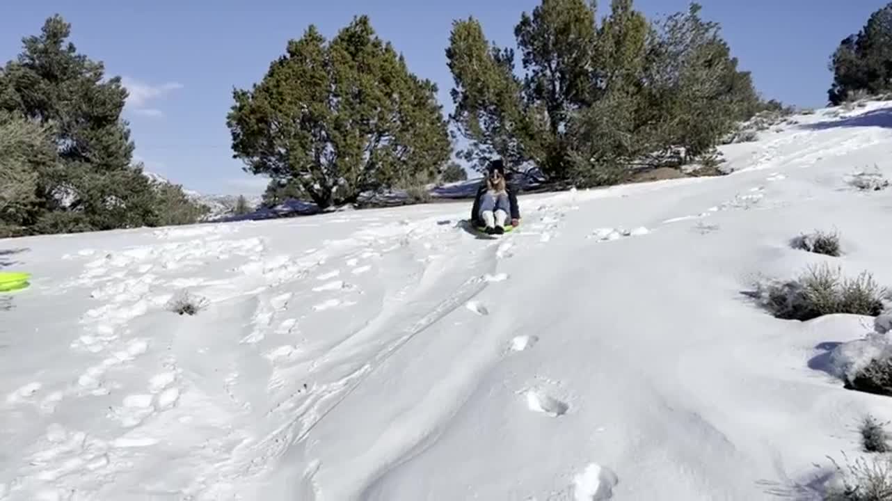 Titties sledding down the mountain! : video clip