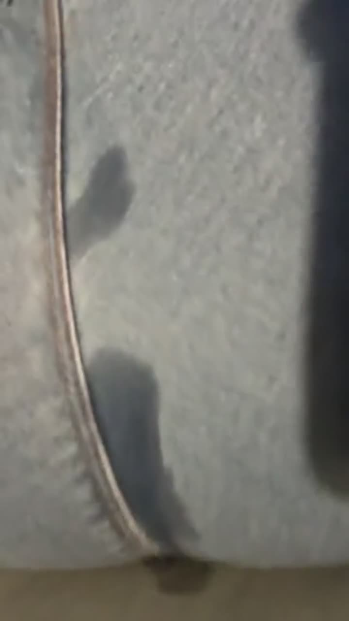 He made me squirt in my jeans for him. : video clip
