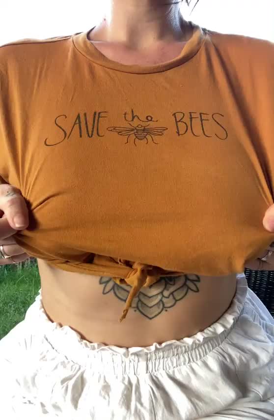 Save the boob-bees : video clip