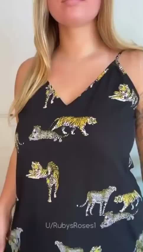 Lions, tigers and boobs 😅 : video clip