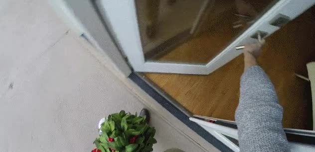 Best Use Of Mistletoe Ever. : video clip