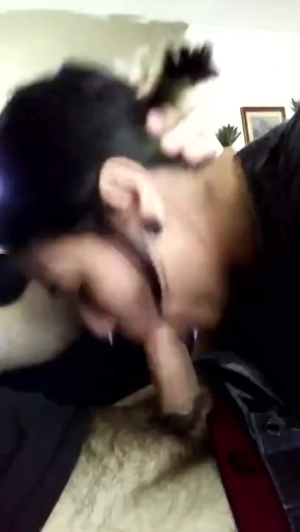 Sexy Swallow : video clip