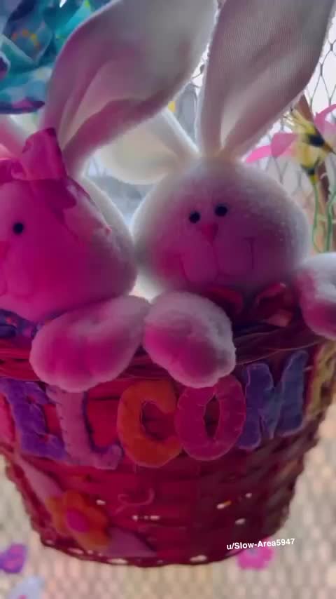 would you come suck them ? 💕 : video clip