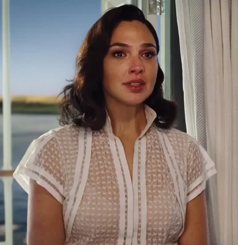 Gal Gadot’s face when a producer starts unzipping his pants during their meeting : video clip