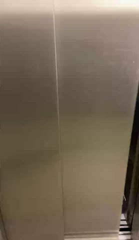What would you do if this was you opening the elevator? : video clip