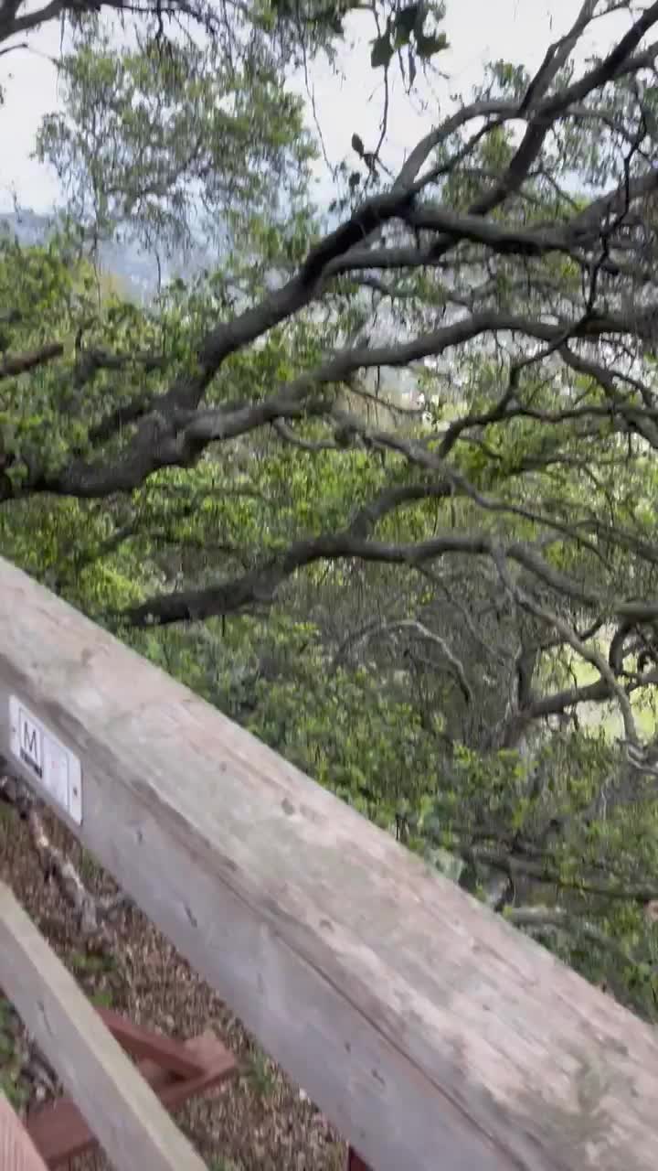 I love sucking dick outdoors : video clip