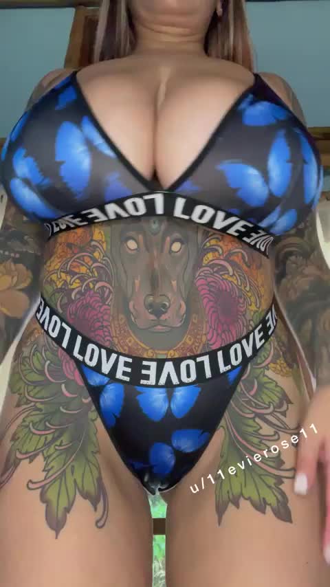 Tits, pussy, or ass? : video clip